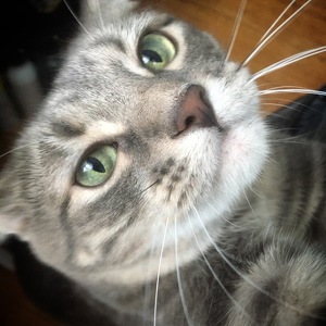 Fundraising Page: Jennifer Grandon